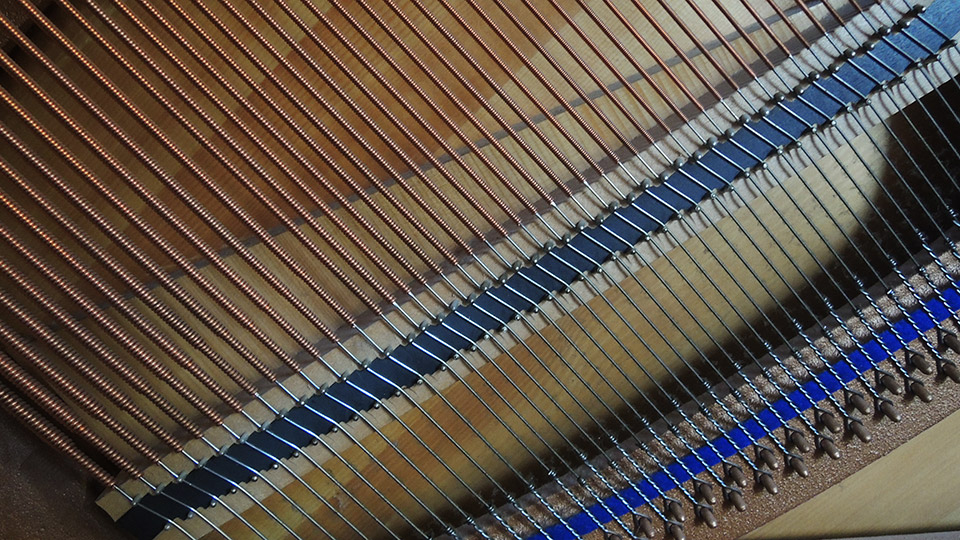 KawaiCE-10N-008