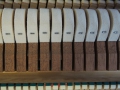 KawaiCE-10N-010