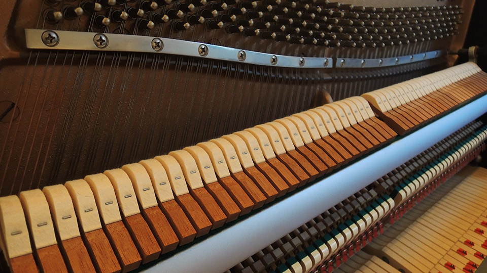 Kawai-CE-7N-005