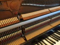 Kawai-CE-7N-004