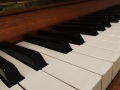 Yamaha-Mod-101-005