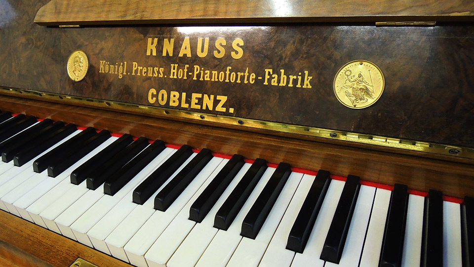 Knauss-nb-Wurzel-002