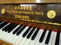 Knauss-nb-Wurzel-002