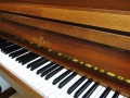 Schimmel-112-nb-002