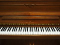 Schimmel-112-nb-003