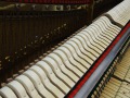 Schimmel-112-nb-005