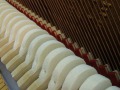 Schimmel-112-nb-006
