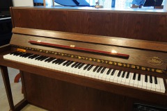 May-111-Eiche-dunkel