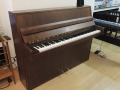 May-Eiche-dunkel-001