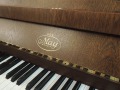 May-Eiche-dunkel-002