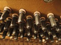 May-Eiche-dunkel-008