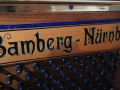 Neupert-019