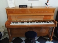 RV-112-Kirsche