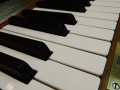 Ritter-NB-005