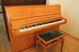 Samick SU-108P