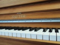 Sauter-Cura-004