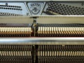 Sauter-Cura-006