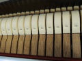 Sauter-Cura-016