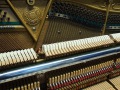 Sauter-131-Eiche-dunkel-005