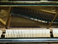 Sauter-131-Eiche-dunkel-007