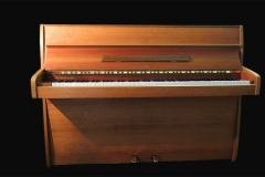 Sauter Modell 106