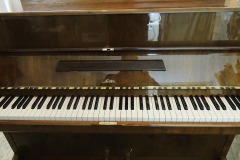 Sauter-Nussbaum-poliert