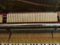 Sauter-106-nb-pol-008