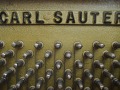 Sauter-106-nb-pol-009