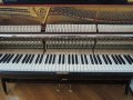 Sauter-KSB-18
