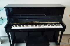 Schiedmayer-sp-Modell-120