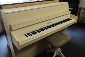 Schimmel Design
