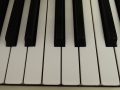 DSCN2990
