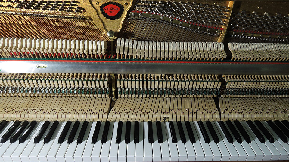 Schimmel-nb-109-008