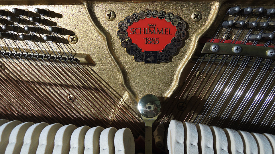 Schimmel-nb-109-010