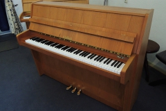 Schimmel 109