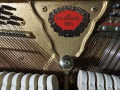 Schimmel-nb-109-010