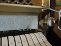 Schimmel-nb-109-012