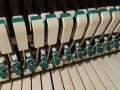 Schimmel-nb-109-011