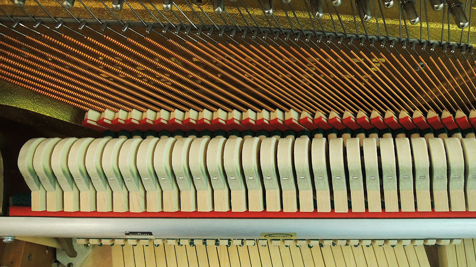 Schimmel-112-Kirsch-016