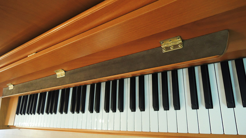 Schimmel-112-Kirsch-018