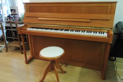 Schimmel 112 Kirschbaum