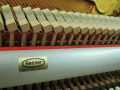 Schimmel-112-Kirsch-009