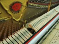 Schimmel-112-Kirsch-010