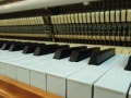 Schimmel-112-Kirsch-011