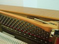 Schimmel-112-Kirsch-012