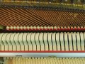 Schimmel-112-Kirsch-016