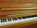 Schimmel-112-Kirsch-017