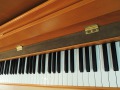 Schimmel-112-Kirsch-018