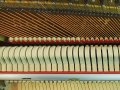 Schimmel-112-Kirsch-016