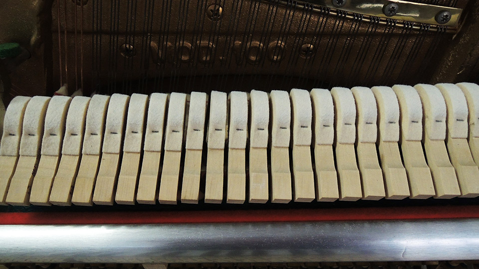 Pleyel-005
